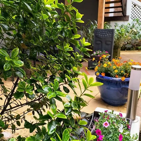 Hotel Restaurant Herard Bourbonne-les-Bains