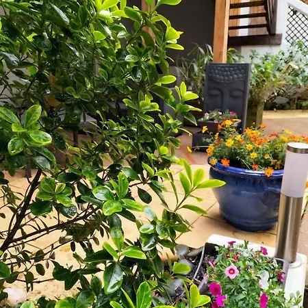 Ξενοδοχείο Restaurant Herard 3*