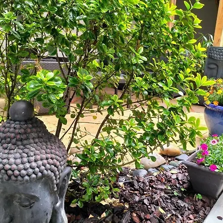 Ξενοδοχείο Restaurant Herard Bourbonne-les-Bains