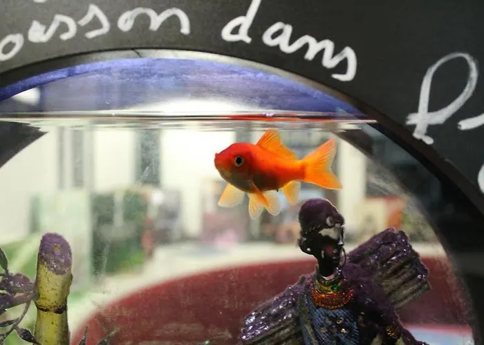 Hotel Restaurant Herard